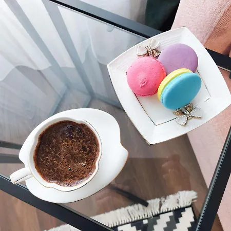 Vip Greenville Lemberg