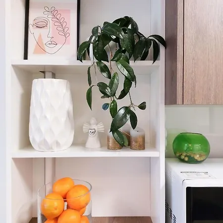 Vip Greenville Apartment *