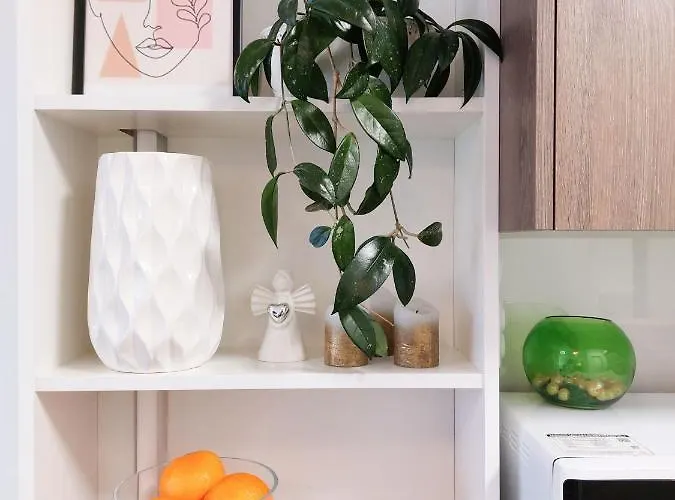 Vip Greenville Apartment *